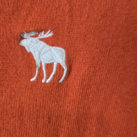 Abercrombie & Fitch Muscle Mens V-Neck Pullover Sweater Sz.XXL Orange/Logo #43 - Picture 4 of 7